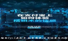 全面解析PULS虚拟币：投资