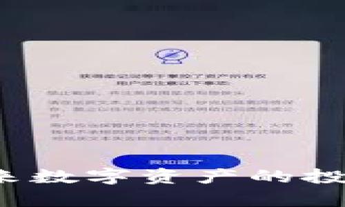 : DIBI虚拟币：未来数字资产的投资机遇与风险分析