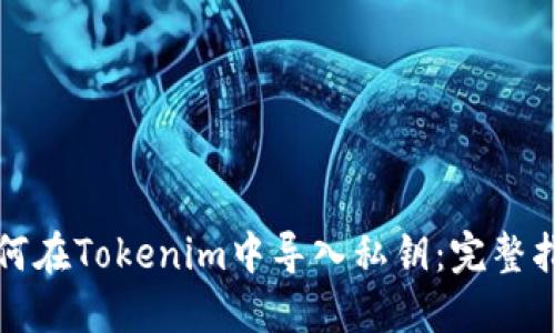 如何在Tokenim中导入私钥：完整指南