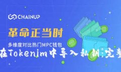 如何在Tokenim中导入私钥：
