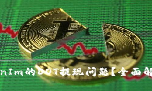 如何解决TokenIm的DOT提现问题？全面解析与解决方案