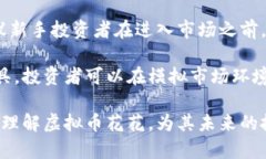   探索虚拟币花花：如何投