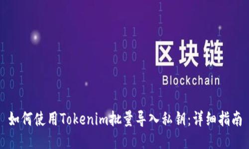 如何使用Tokenim批量导入私钥：详细指南