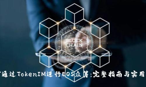 如何通过TokenIM进行EOS众筹：完整指南与实用技巧