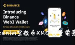 全面解析Tokenim空投币XMC：