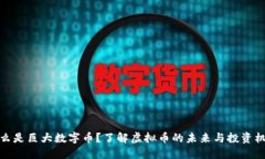 什么是巨大数字币？了解
