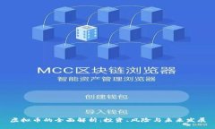 虚拟币的全面解析：投资
