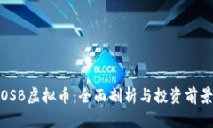 OSB虚拟币：全面剖析与投资前景