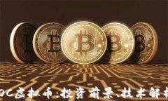 深入了解RHOC虚拟币：投资