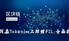 如何在Tokenim上理财FIL：全面指南