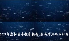 2023年虚拟货币投资指南：最具潜力的币种分析