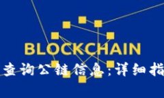 如何在ImToken上查询公链信息：详细指南与常见问