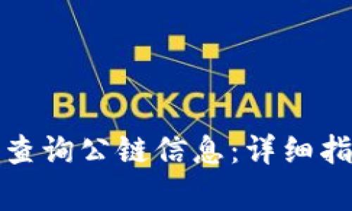 如何在ImToken上查询公链信息：详细指南与常见问题解答