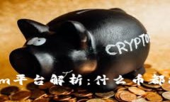 Tokenim平台解析：什么币都能放吗？