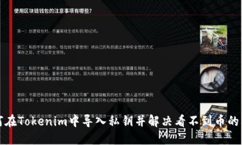 如何在Tokenim中导入私钥并解决看不到币的问题