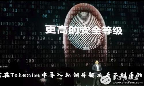 如何在Tokenim中导入私钥并解决看不到币的问题