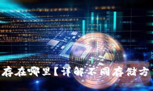 Tokenim的币存在哪里？详解不同存储方式及其安全性