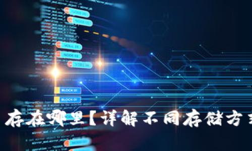Tokenim的币存在哪里？详解不同存储方式及其安全性