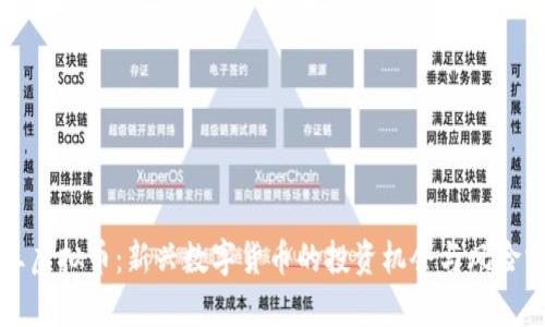 兽王虚拟币：新兴数字货币的投资机会与风险分析