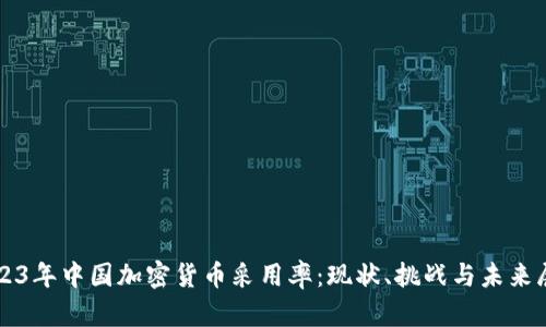 2023年中国加密货币采用率：现状、挑战与未来展望